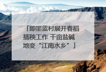 即墨蓝村展开春稻插秧工作 千亩盐碱地变“江南水乡”