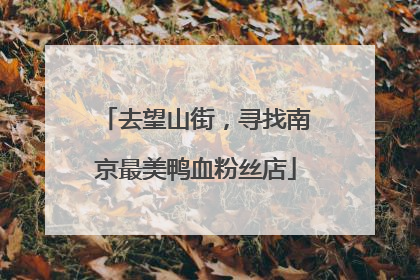去望山街，寻找南京最美鸭血粉丝店