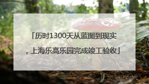 历时1300天从蓝图到现实，上海乐高乐园完成竣工验收