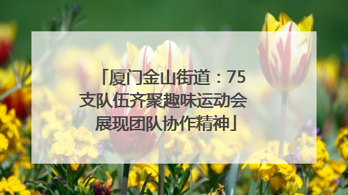 厦门金山街道：75支队伍齐聚趣味运动会 展现团队协作精神
