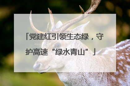 党建红引领生态绿，守护高速“绿水青山”