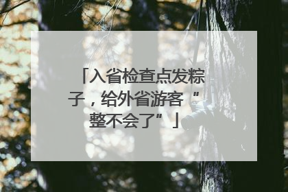 入省检查点发粽子，给外省游客“整不会了”