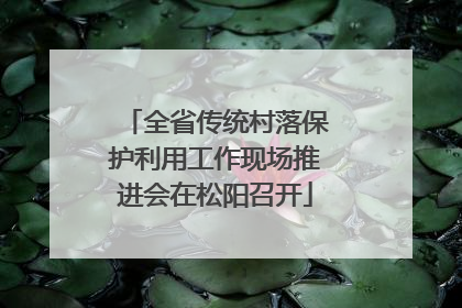 全省传统村落保护利用工作现场推进会在松阳召开