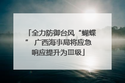 全力防御台风“蝴蝶” 广西海事局将应急响应提升为Ⅲ级