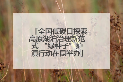 全国低碳日探索高原湖泊治理新范式 “绿种子”护滇行动在昆举办
