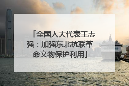 全国人大代表王志强：加强东北抗联革命文物保护利用