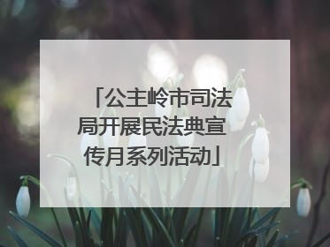 公主岭市司法局开展民法典宣传月系列活动