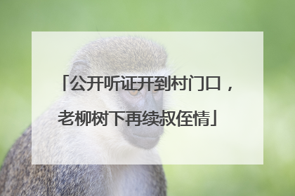 公开听证开到村门口，老柳树下再续叔侄情