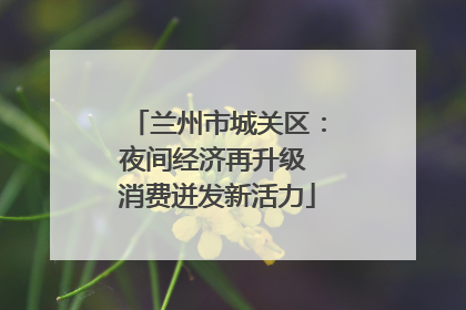 兰州市城关区：夜间经济再升级 消费迸发新活力