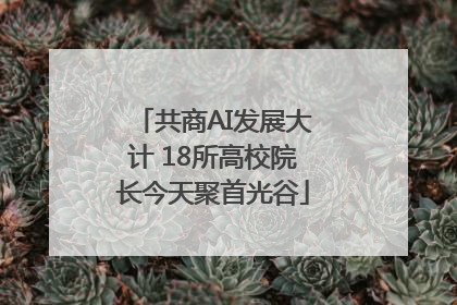 共商AI发展大计 18所高校院长今天聚首光谷