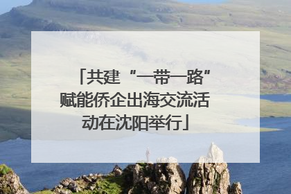 共建“一带一路”赋能侨企出海交流活动在沈阳举行