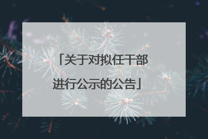 关于对拟任干部进行公示的公告