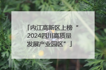 内江高新区上榜“2024四川高质量发展产业园区”