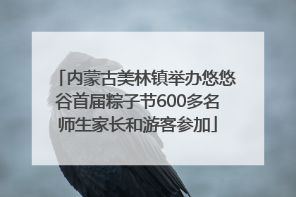 内蒙古美林镇举办悠悠谷首届粽子节600多名师生家长和游客参加