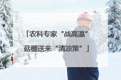 农科专家“战高温” 菇棚送来“清凉策”
