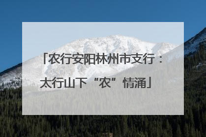 农行安阳林州市支行：太行山下“农”情涌