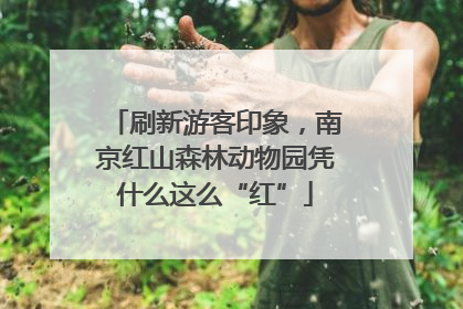 刷新游客印象，南京红山森林动物园凭什么这么“红”
