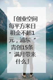 创业空间每平方米日租金不超1元，浦东“青创15条”满月带来什么