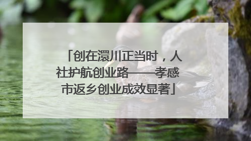 创在澴川正当时，人社护航创业路——孝感市返乡创业成效显著