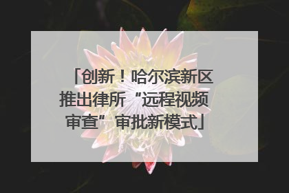 创新！哈尔滨新区推出律所“远程视频审查”审批新模式