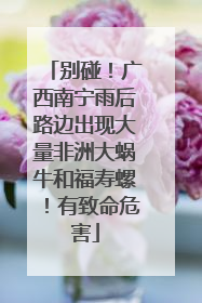 别碰！广西南宁雨后路边出现大量非洲大蜗牛和福寿螺！有致命危害