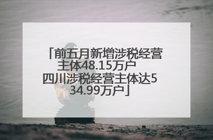 前五月新增涉税经营主体48.15万户 四川涉税经营主体达534.99万户