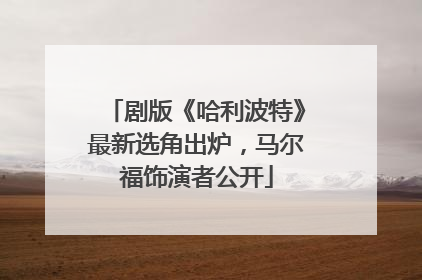 剧版《哈利波特》最新选角出炉，马尔福饰演者公开