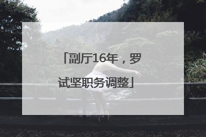 副厅16年，罗试坚职务调整
