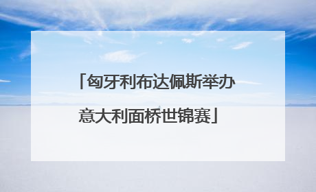 匈牙利布达佩斯举办意大利面桥世锦赛
