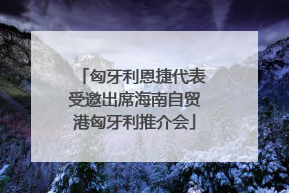匈牙利恩捷代表受邀出席海南自贸港匈牙利推介会