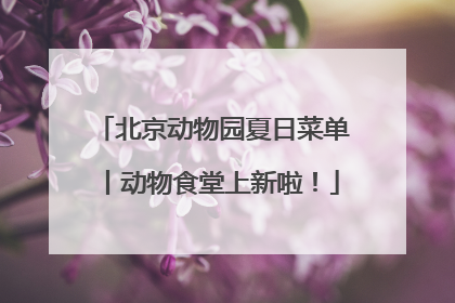 北京动物园夏日菜单丨动物食堂上新啦！