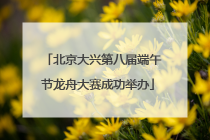 北京大兴第八届端午节龙舟大赛成功举办