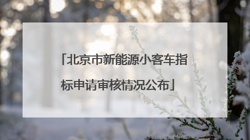 北京市新能源小客车指标申请审核情况公布