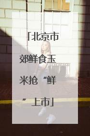 北京市郊鲜食玉米抢“鲜”上市