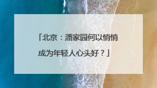 北京：潘家园何以悄悄成为年轻人心头好？