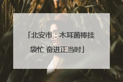 北安市：木耳菌棒挂袋忙 奋进正当时