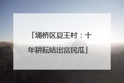 埇桥区夏王村：十年耕耘结出富民瓜