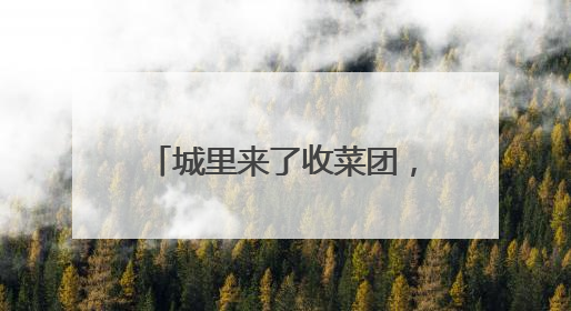 城里来了收菜团，我花三小时赶去山里串门，带回一群七旬村民的心愿