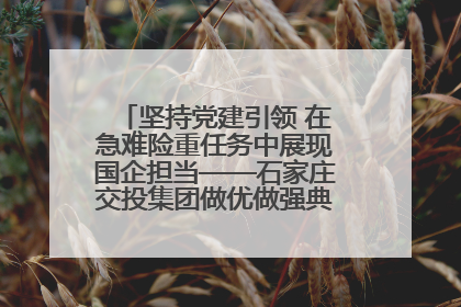 坚持党建引领 在急难险重任务中展现国企担当——石家庄交投集团做优做强典型报道之一
