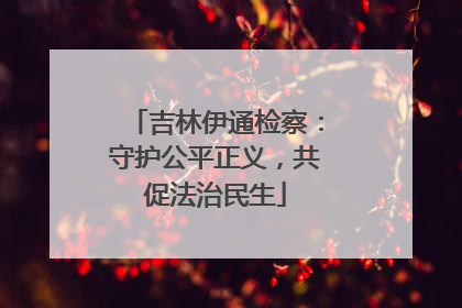 吉林伊通检察：守护公平正义，共促法治民生