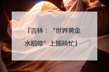 吉林：“世界黄金水稻带”上插秧忙