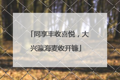 同享丰收喜悦，大兴瀛海麦收开镰