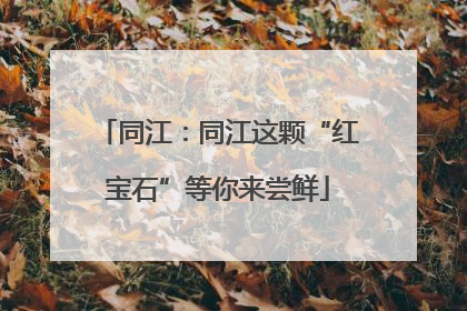 同江：同江这颗“红宝石”等你来尝鲜