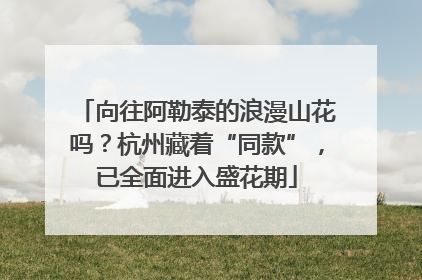 向往阿勒泰的浪漫山花吗？杭州藏着“同款”，已全面进入盛花期