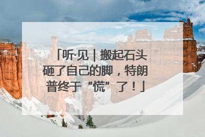 听·见｜搬起石头砸了自己的脚，特朗普终于“慌”了！