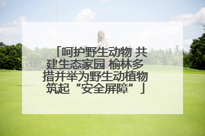 呵护野生动物 共建生态家园 榆林多措并举为野生动植物筑起“安全屏障”