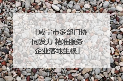 咸宁市多部门协同发力 精准服务企业落地生根