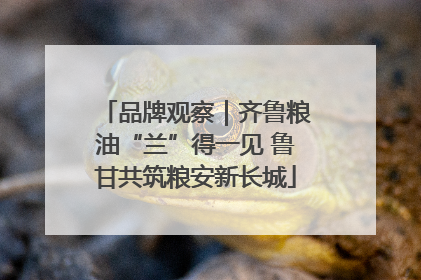 品牌观察｜齐鲁粮油“兰”得一见 鲁甘共筑粮安新长城