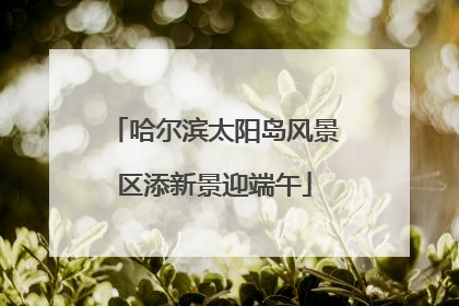 哈尔滨太阳岛风景区添新景迎端午