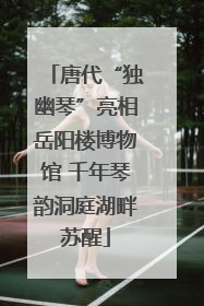 唐代“独幽琴”亮相岳阳楼博物馆 千年琴韵洞庭湖畔苏醒